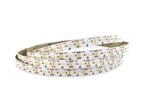 COO LED Bånd 5m 24V 4,8W 4000K IP20 m/2x3m kabel