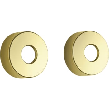 Damixa Rossetter (store). 2 stk til 3/4". Ø75 mm Poleret messing