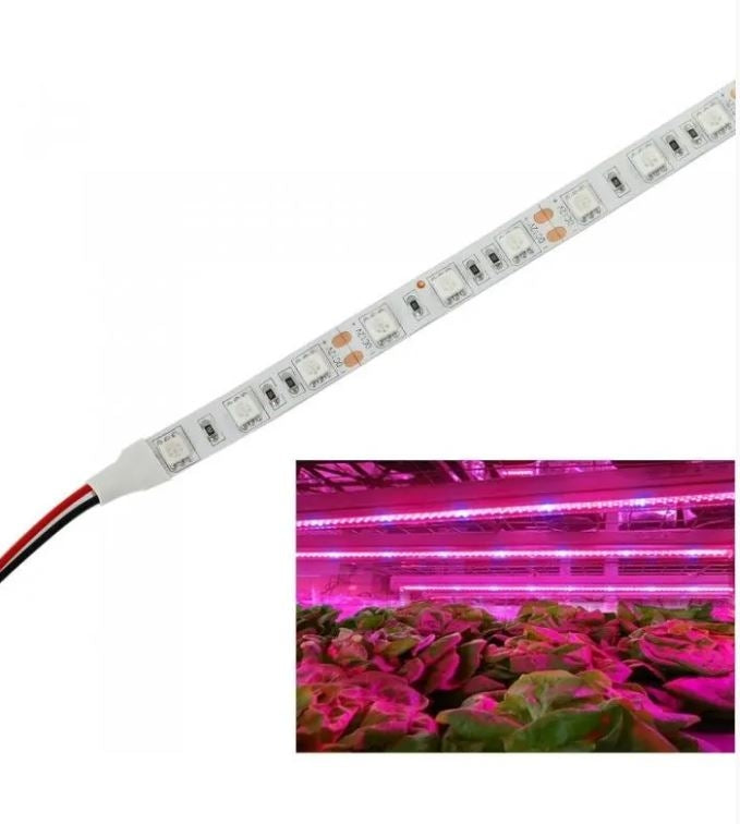 9,6W/m stænktæt vækst LED strip - 5m, 60 LED pr. meter, IP65