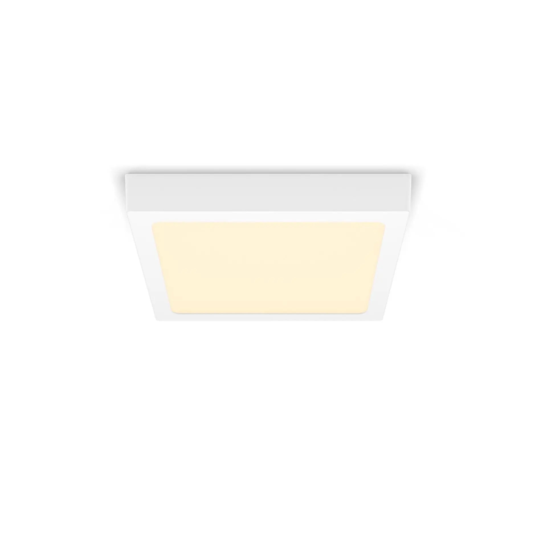 SIG929002661231 image 2