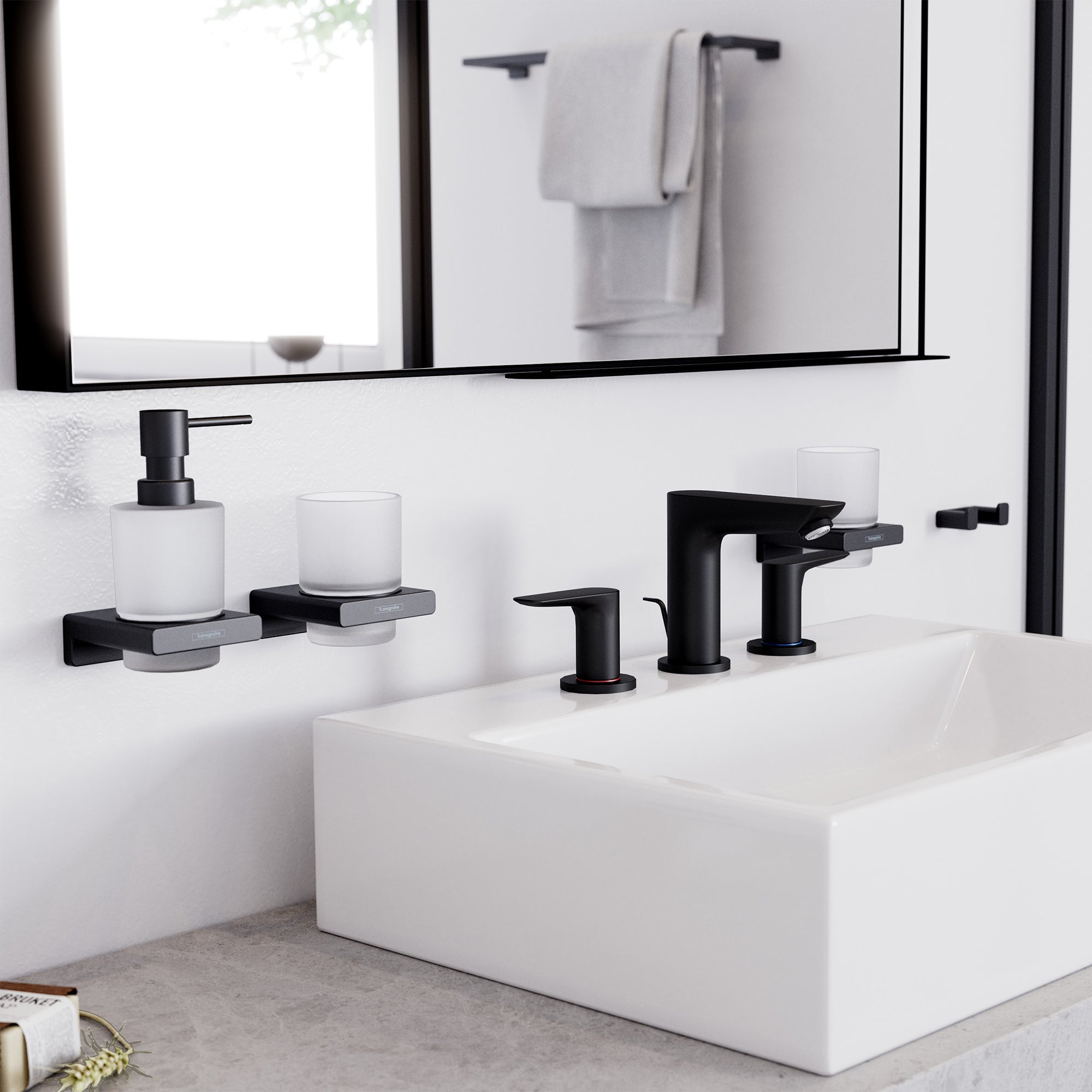 Hansgrohe AddStoris tandglas, mat sort