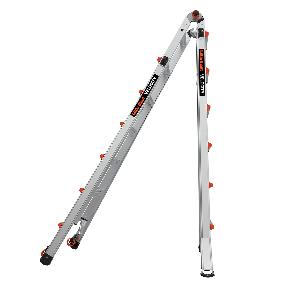 JUMBO Giant Classic multistige "Velocity" 6/11 trin