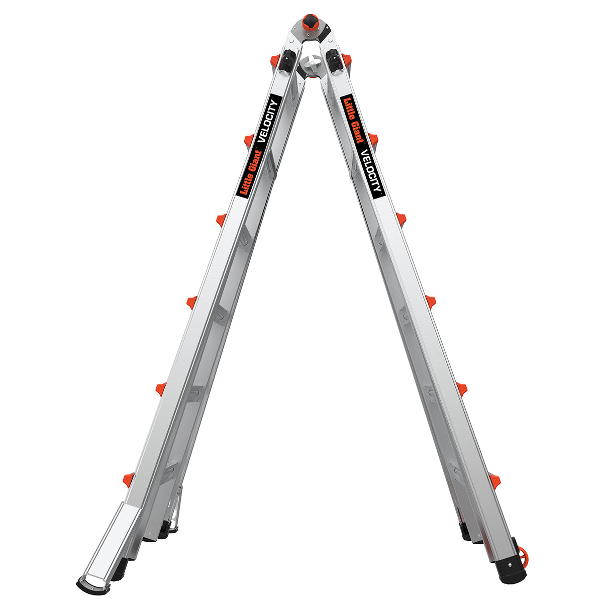 JUMBO Giant Classic multistige "Velocity" 6/11 trin