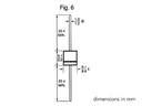 Diode - 6A / 600V (6A6)