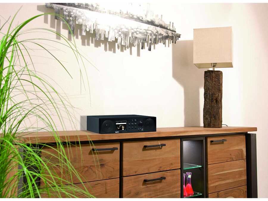 DABMAN i450, FM/DAB+, internetradio, m. bluetooth
