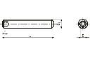 Pinolskrue, indv. sekskant - M10 x 30mm, HEX-5mm (10 stk.)