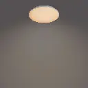 929003317001-1.webp