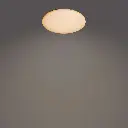 929003316801-1.webp