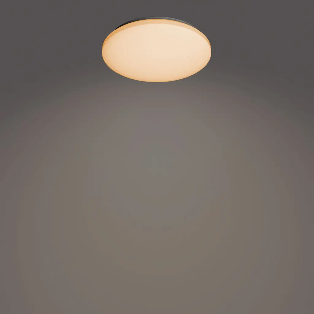 929003316701-1.webp