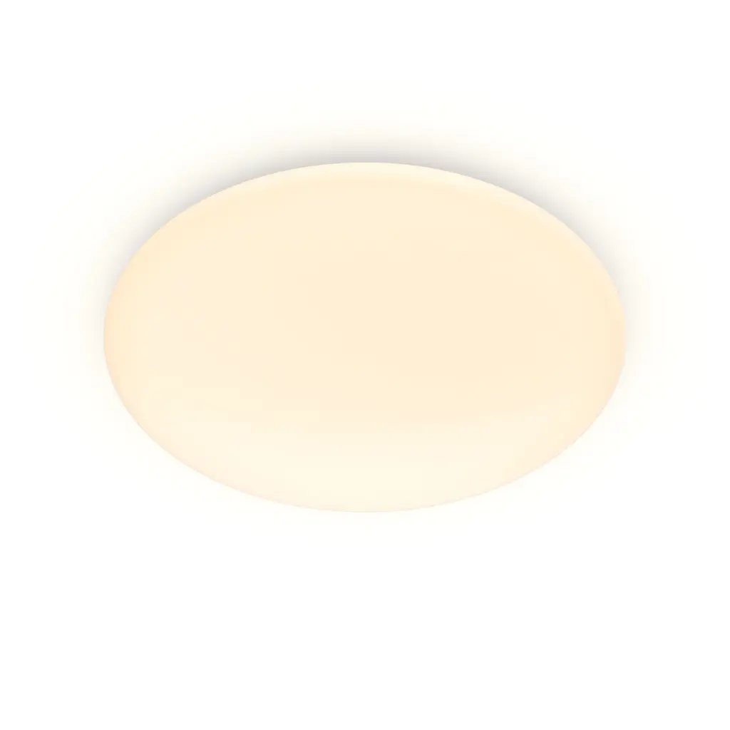 915005774211-1.webp