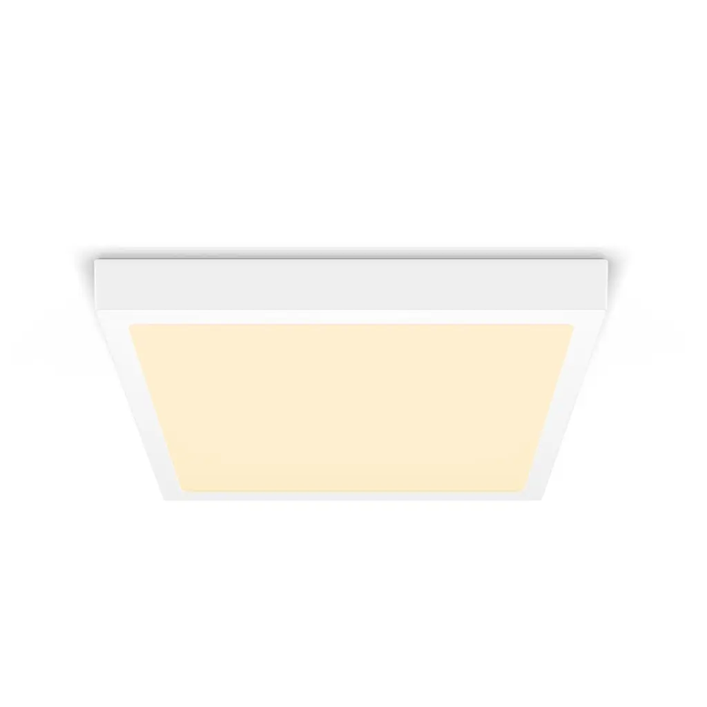 929002661631-1.webp