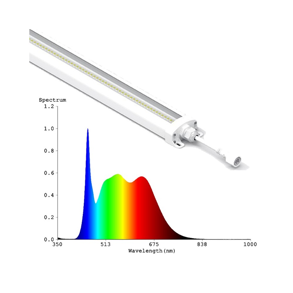 Philips LED vækstarmatur 50W - 112,5 cm, RA95, fuldt spektrum, IK05, IP65