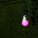 Shelly_Duo_RGB_8_-625x625.webp