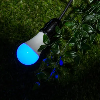 Shelly_Duo_RGB_9_-625x625(1).webp