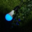 Shelly_Duo_RGB_9_-625x625(1).webp