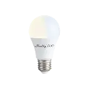 Shelly-Duo-main-image_300x.webp