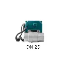 dn 25.webp