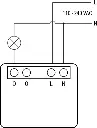 11294302.webp