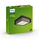 Moonshine Pendant Ceiling anthracite 2x14W 230V