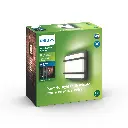 Petronia wall lantern anthracite 1x12W