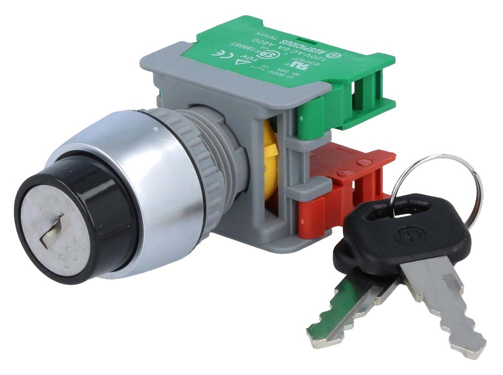 Nøglekontakt - 230V / 3A, NC + NO, Ø22mm, Grå (IP65)