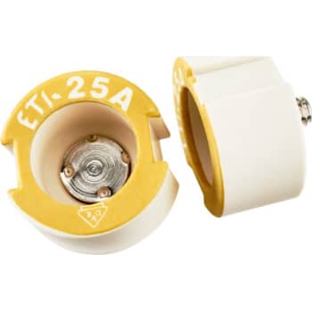 PASSKRUE DZ2 25A E27