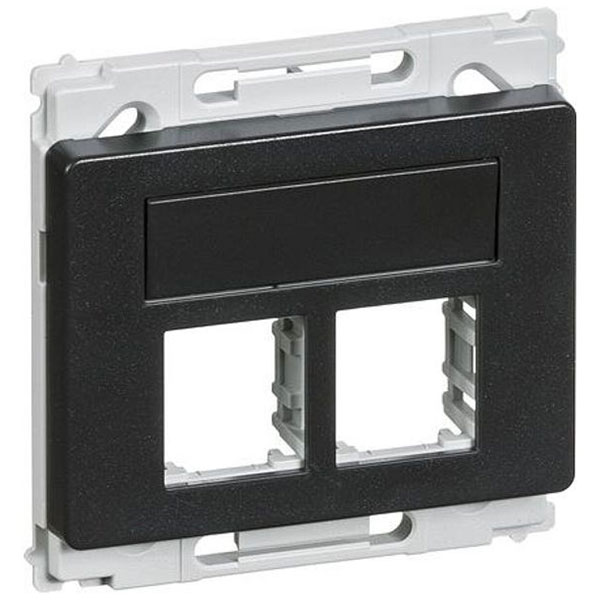 Opus 66 Dataudtag Lige F 2XRJ45 Koksgrå