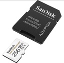High Endurance microSDXC kort - 256GB Video Class V30 (U3)