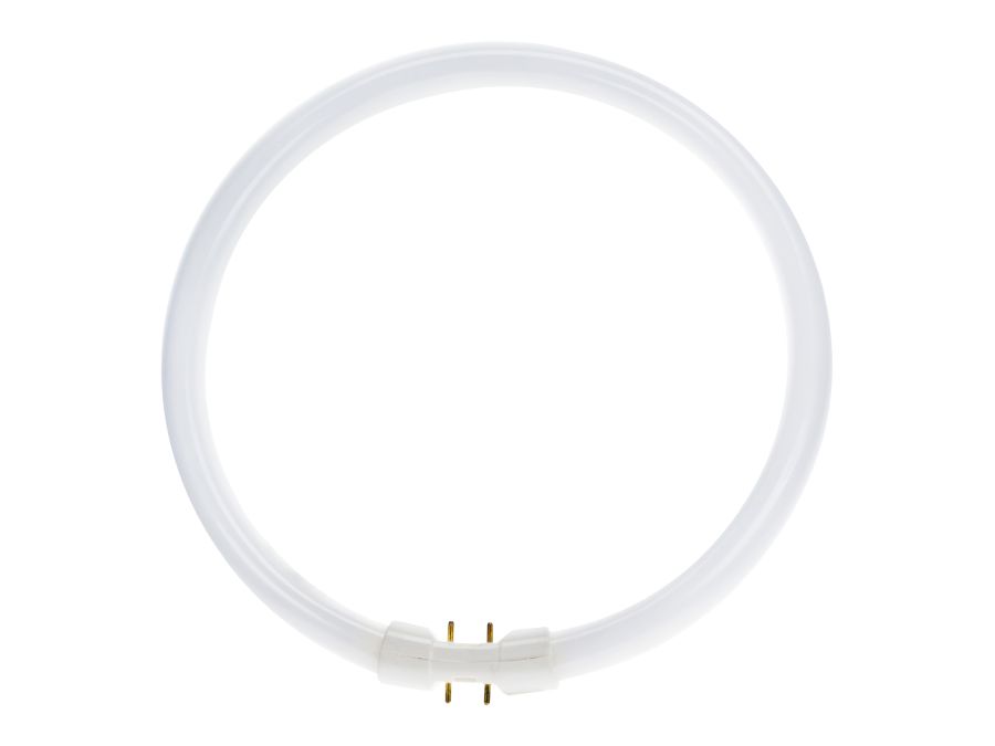 T5 Cirkulær Lysstofrør - 22W / 830, 2Gx13 sokkel (Ø18x230mm)