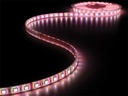 Vandtæt LED strip (IP68) - 24V, 60 RGB LED/m (metervare)