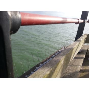 Duesikring Avipoint P32 5mtr