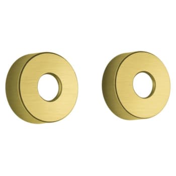 Damixa Rossetter (store). 2 stk til 3/4". Ø75 mm Børstet messing