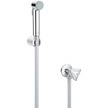GROHE NTEMPESTA-F TRIGGER SPRA