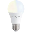 SHELLY DUO E27 - WW/CW