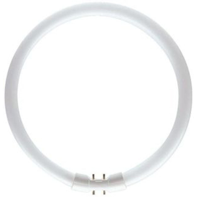 Lysrør 22W/840 Cirkelrør T 528465