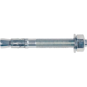 [892301095] Gennemstiksanker FBN II M6 x 55/10 mm, FZB, 100 stk. 