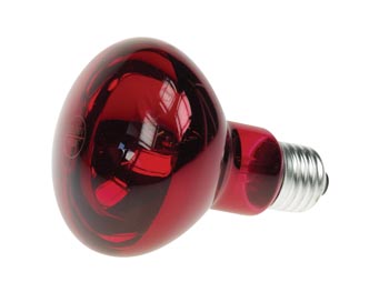[H18227] R80 spotpære - 60W / 230V, E27, RØD