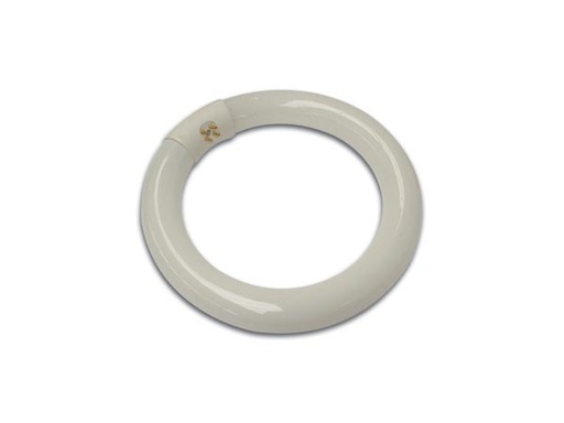 [H21538] T9 Cirkulær Lysstofrør - 22W, G10q sokkel (Ø210mm)