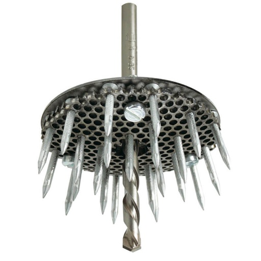 [9997610724] Pindsvinebor 72 mm.