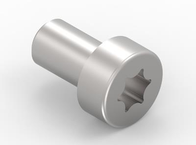 [1914070196] Cylinderskrue torx 3101-0610