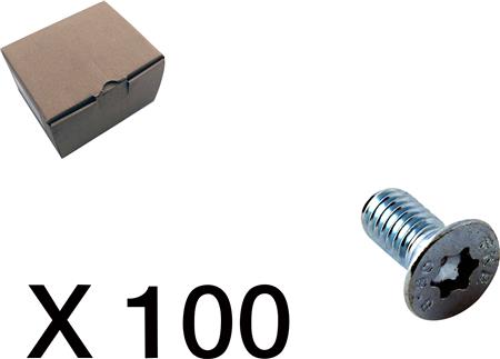 [1914302518] SKRUE, UNDERSÆNKET, TORX 100 STK