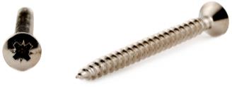 [5439572846] VVS SKRUE LH 5,5X50 PZ3 RUSTFRI A2