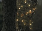 [7848202270] Julius LED Lightchain 80L 6 m